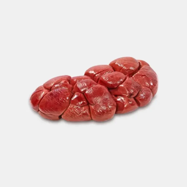 Beef kidney